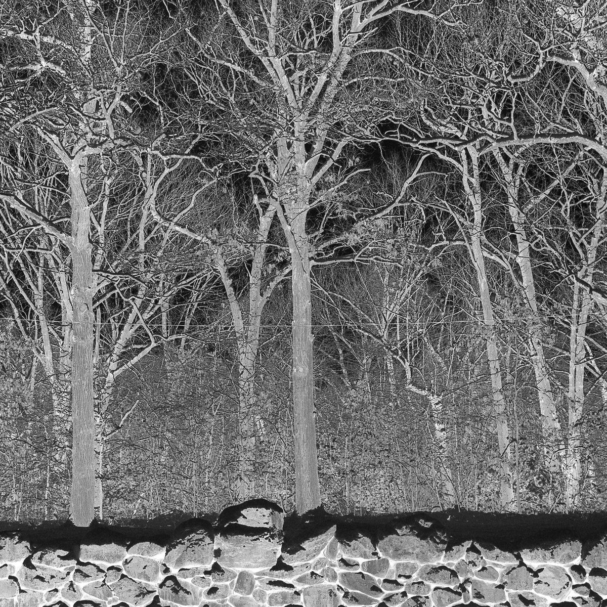 Pile – Sunshine and Balance Beams vinyl cover