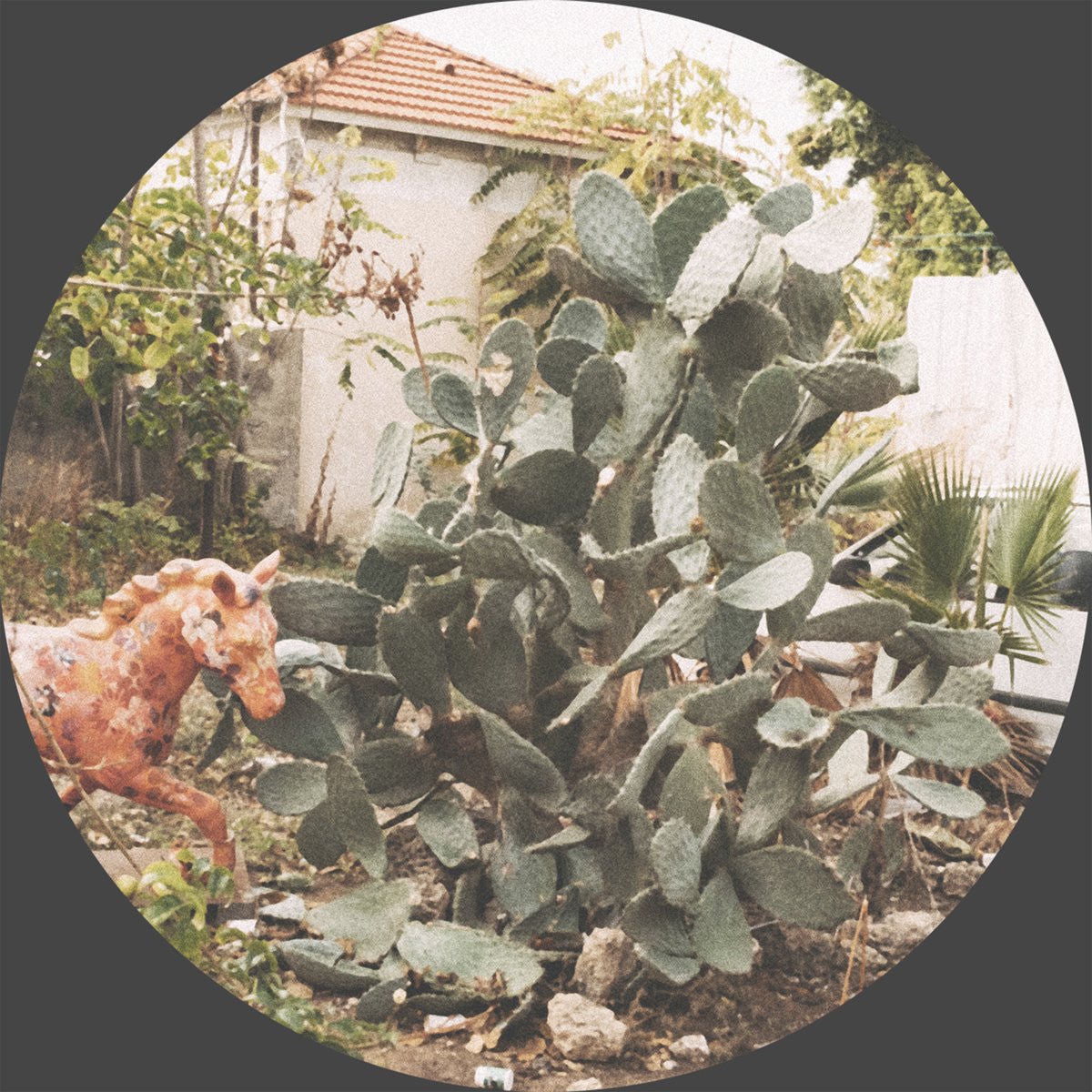 Various Artists – Essays 1 vinyl record cover