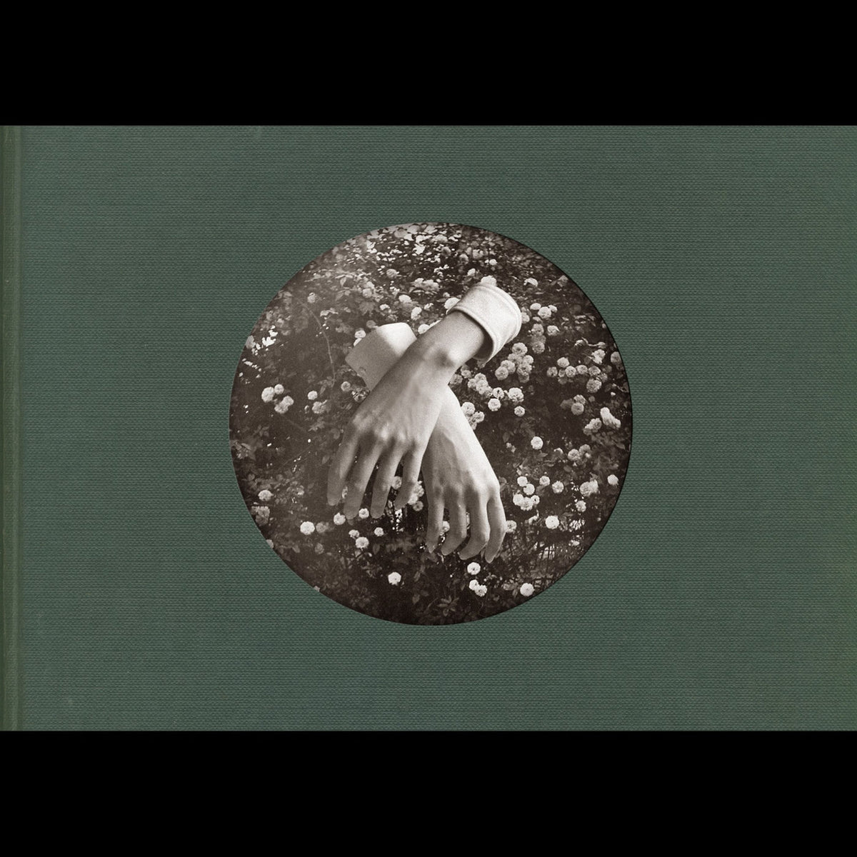 Aspidistrafly – A Little Fable vinyl record cover