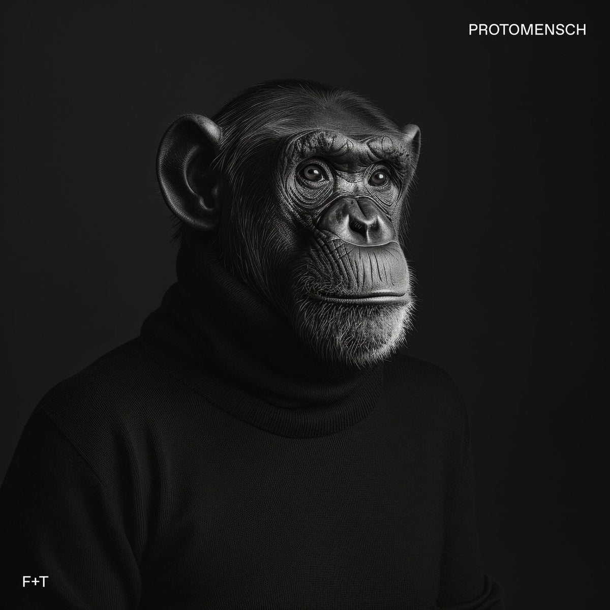 Felsmann + Tiley – Protomensch vinyl record cover