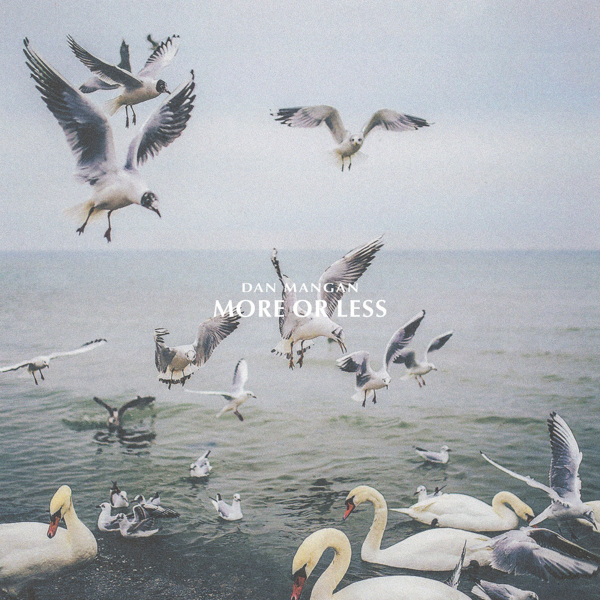Dan Mangan – More Or Less vinyl record cover