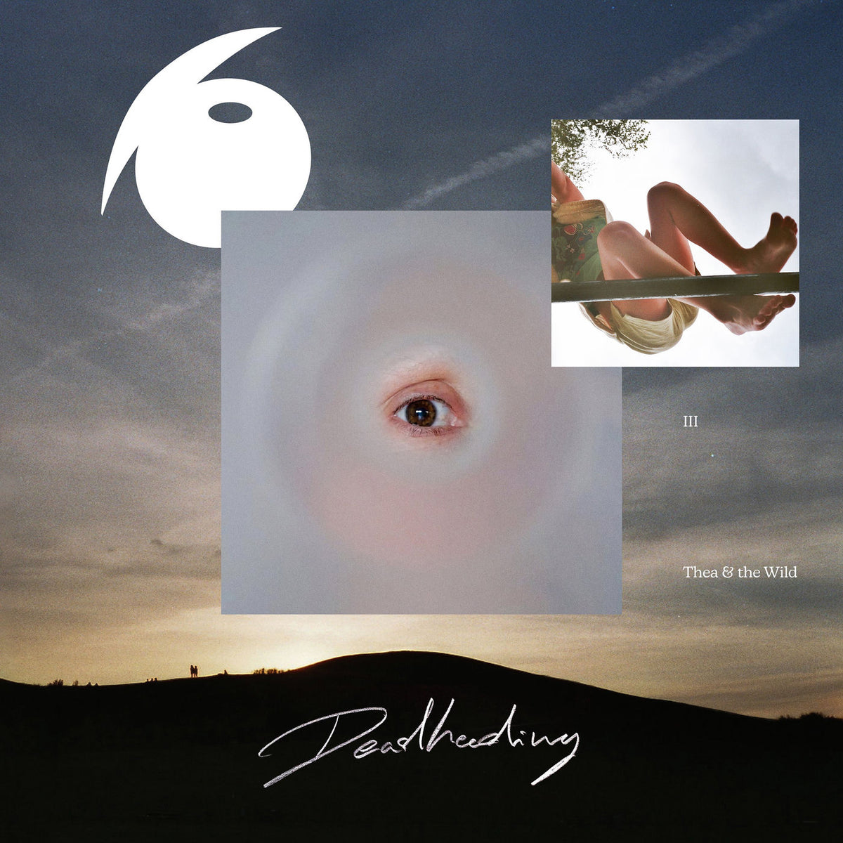 Thea & The Wild – Deadheading vinyl record cover