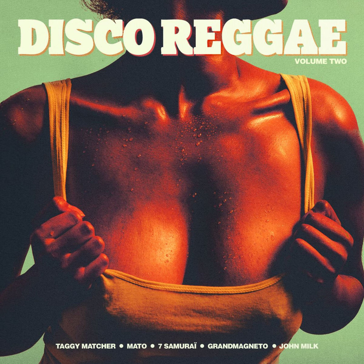 Various Artists – Disco Reggae Vol. 2 vinyl record cover