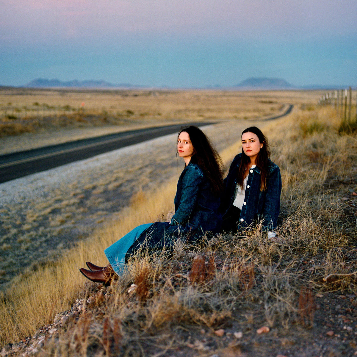 Plains – I Walked With You a Ways vinyl record cover