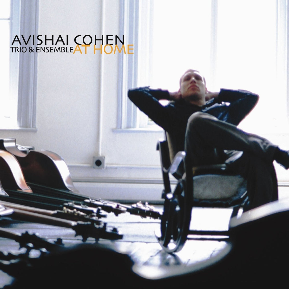 Avishai Cohen – At Home vinyl cover