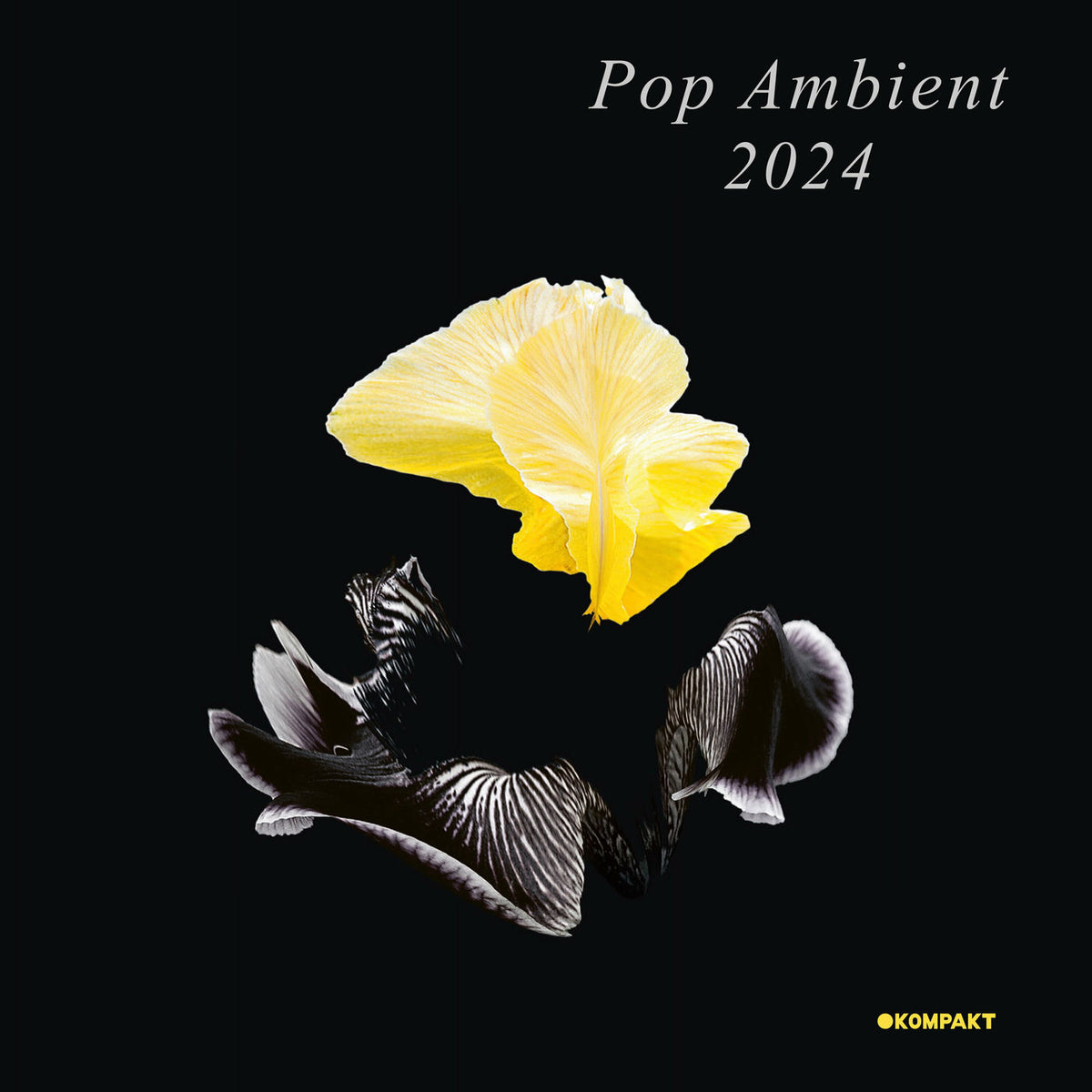 Various Artists – Pop Ambient 2024 vinyl record cover