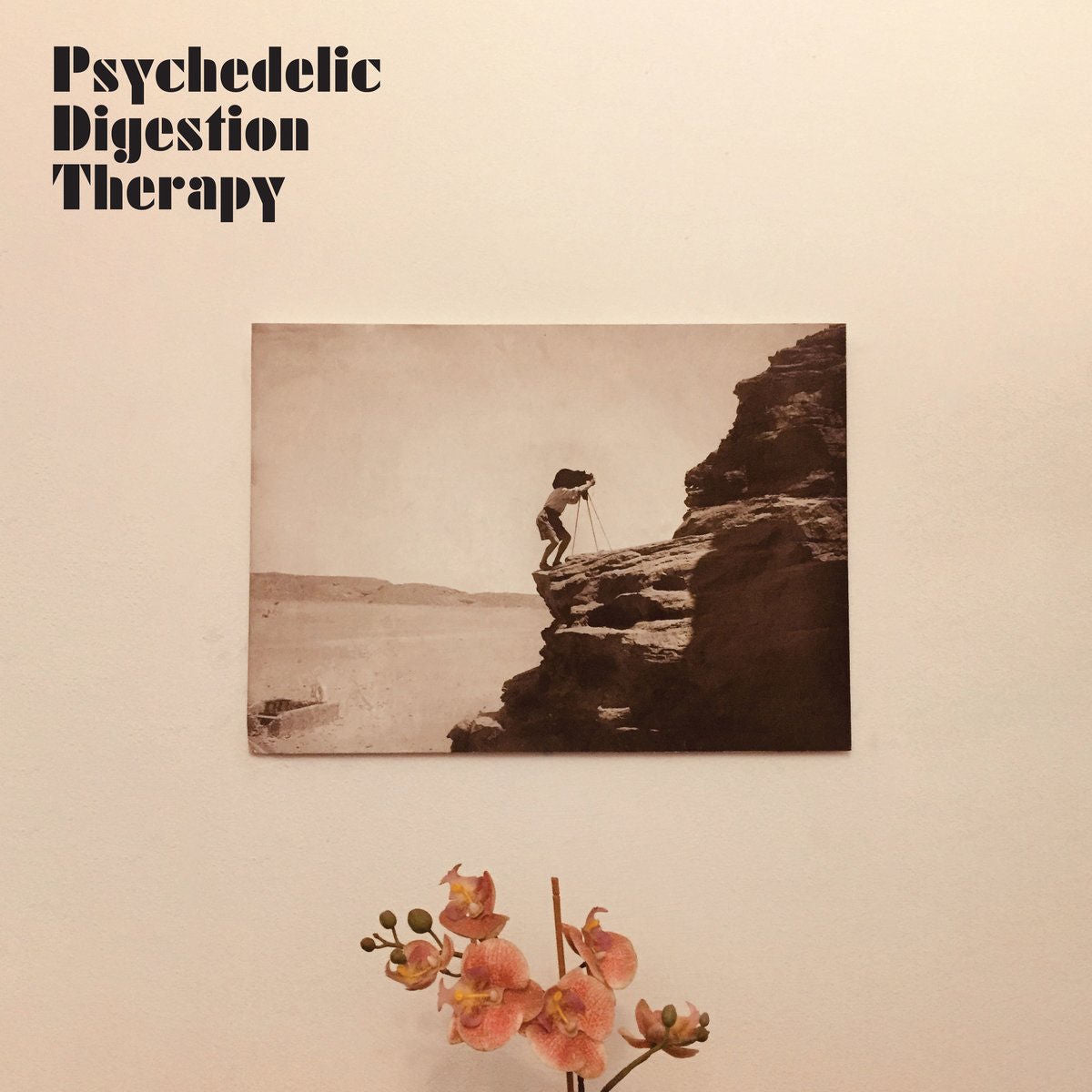 Psychedelic Digestion Therapy – Psychedelic Digestion Therapy vinyl record cover