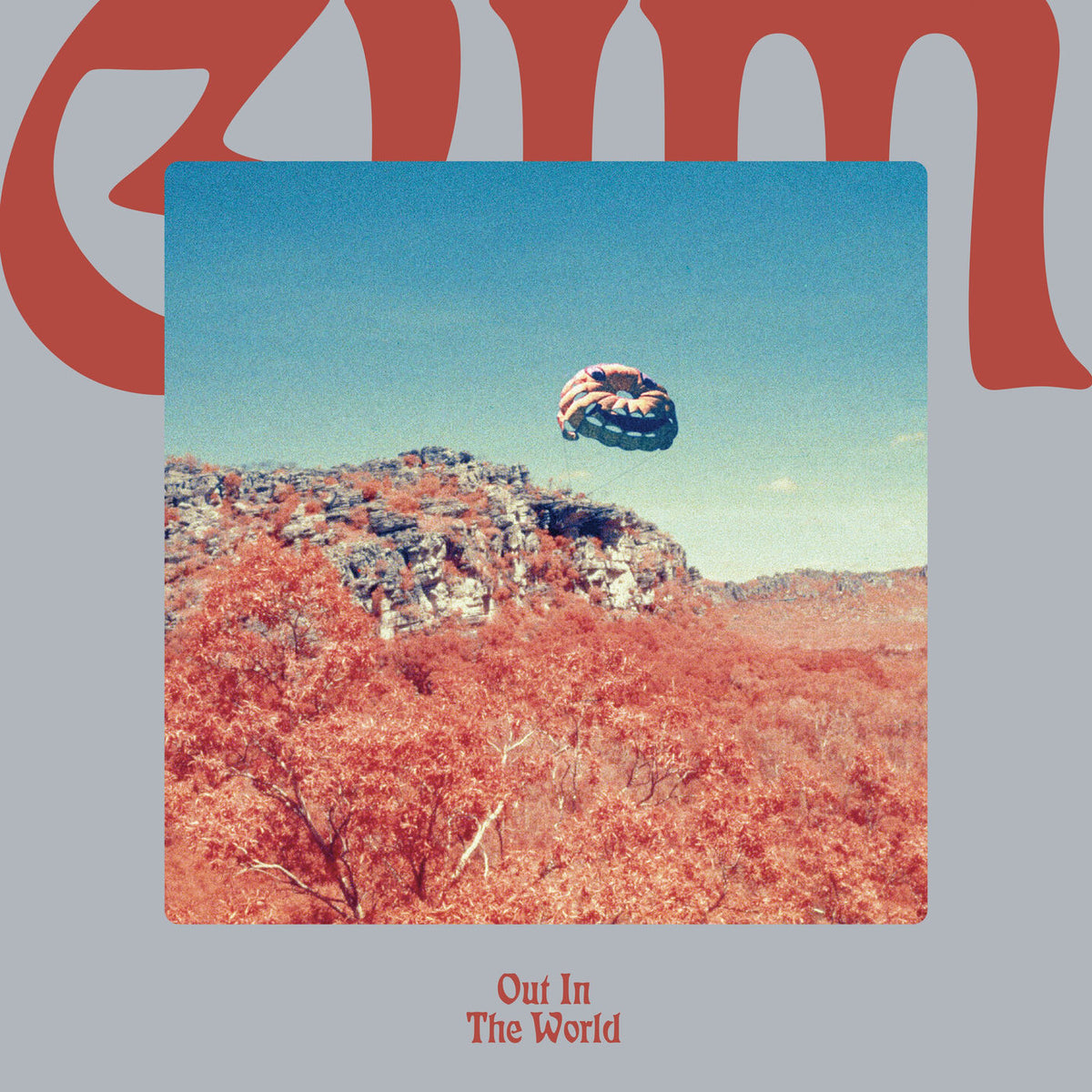 GUM – Out In The World vinyl cover