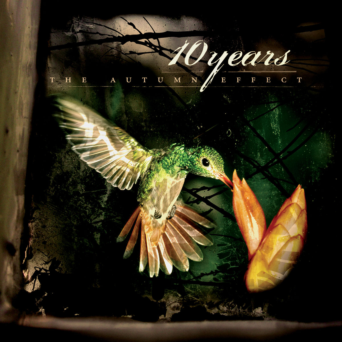 10 Years – Autumn Effect vinyl record cover