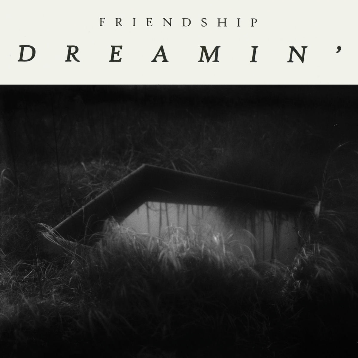 Friendship – Dreamin' vinyl cover