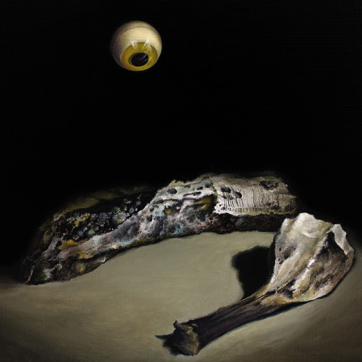 Solen Skinner – The Lathering vinyl record cover