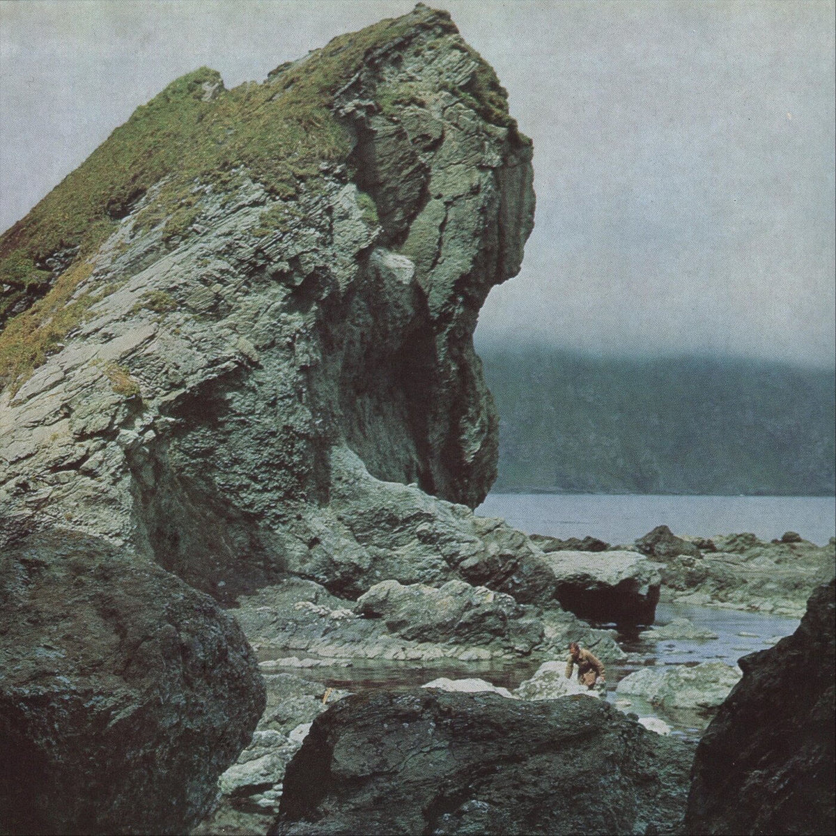 Motorama – Many Nights vinyl record cover