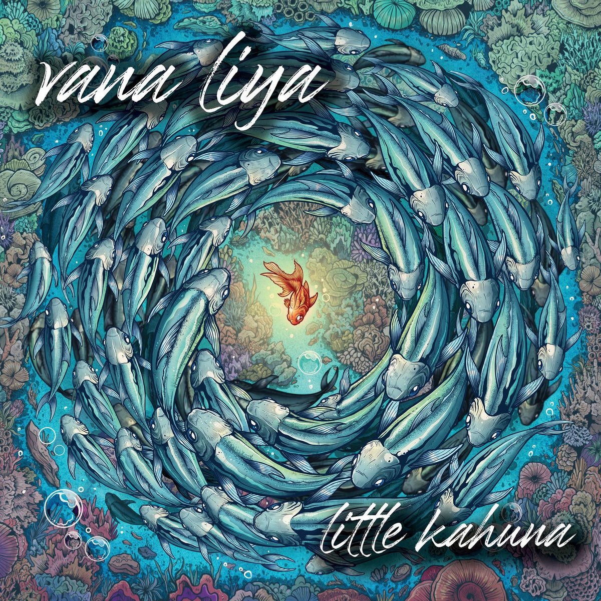 Vana Liya – Little Kahuna vinyl record cover