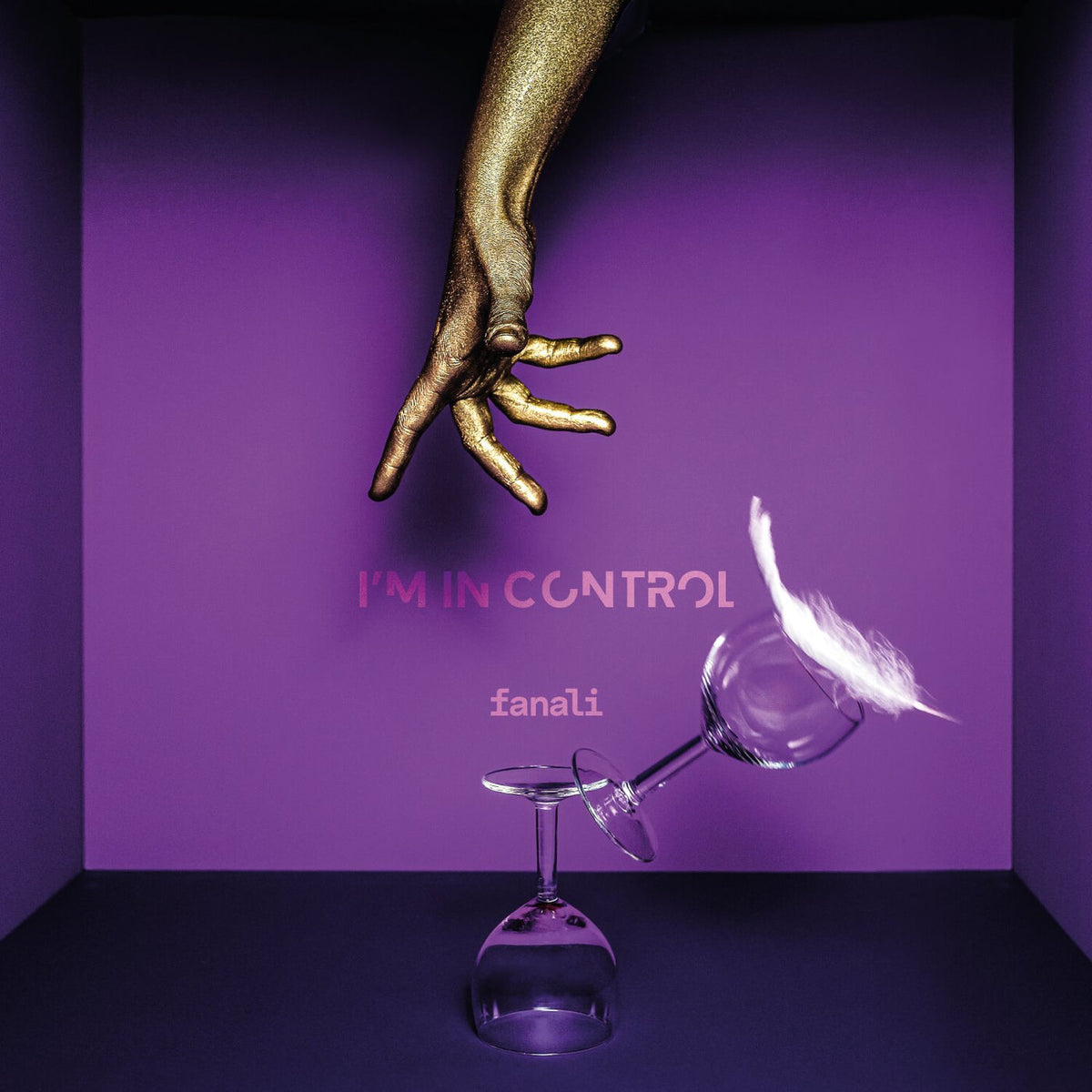 Fanali – I'M In Control vinyl record cover