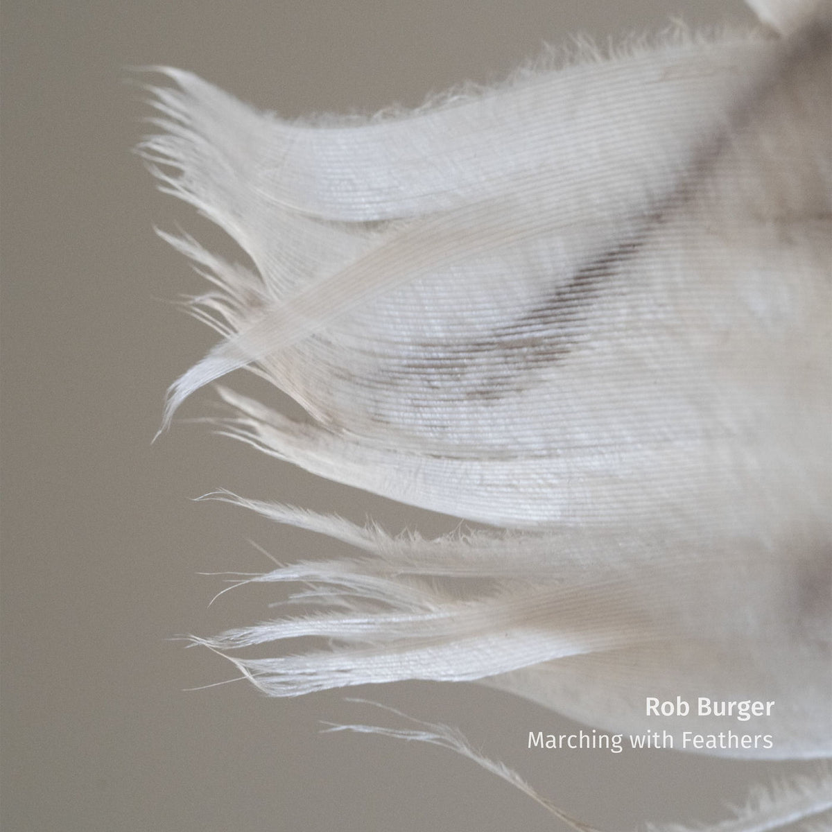 Rob Burger – Marching With Feathers vinyl record cover