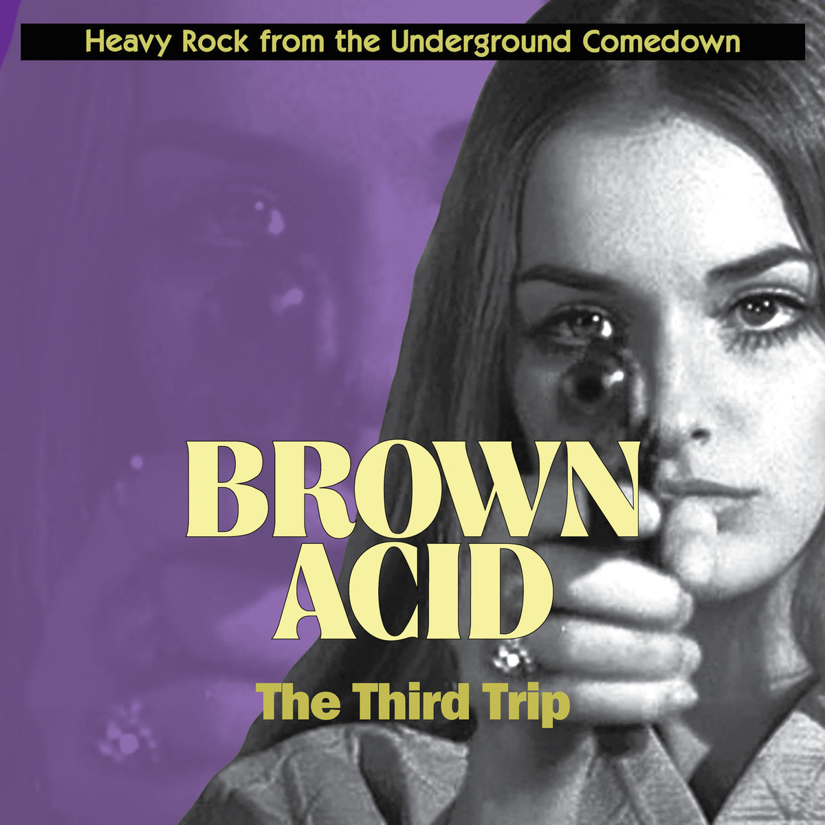 Various Artists – Brown Acid: Third Trip vinyl record cover