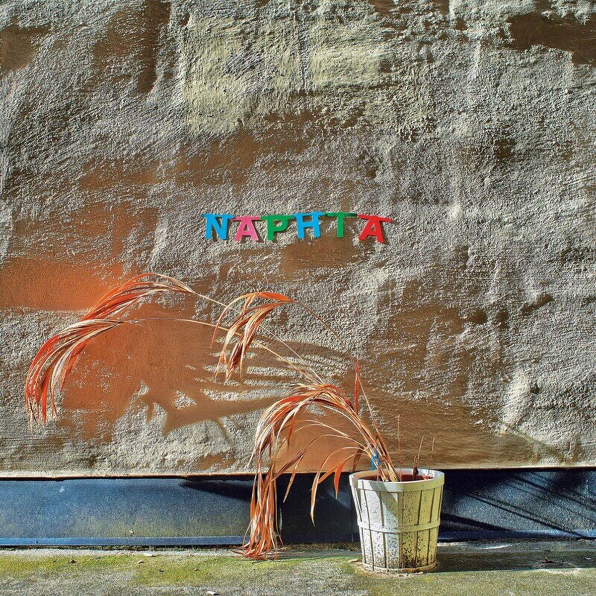 Naphta – Palm Trees Love vinyl cover