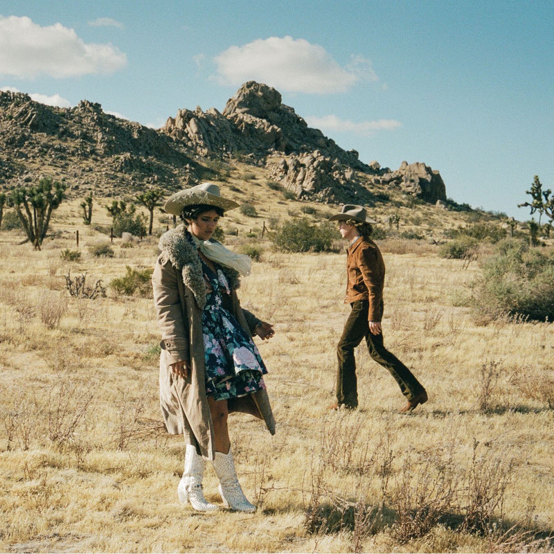 Beck – Ride Lonesome vinyl record cover