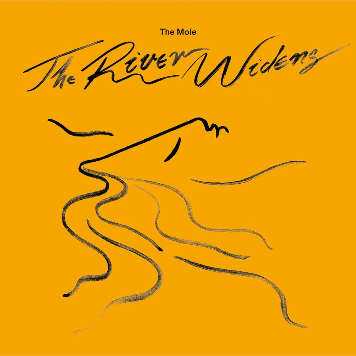 The Mole – The River Widens vinyl cover