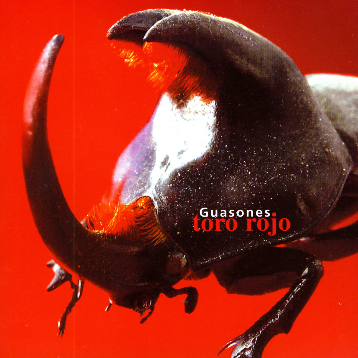 Guasones – Toro Rojo vinyl record cover
