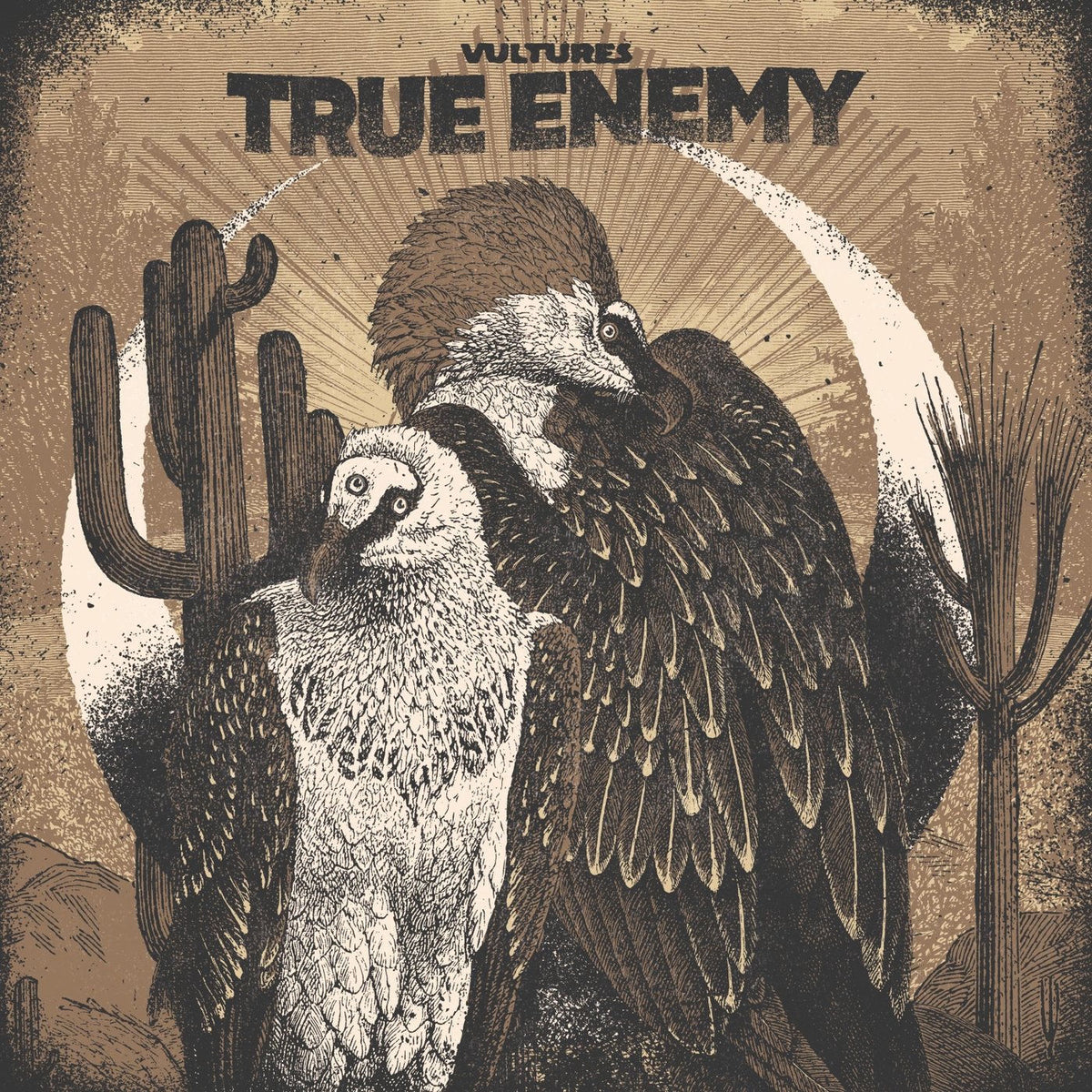 True Enemy – Vultures vinyl record cover