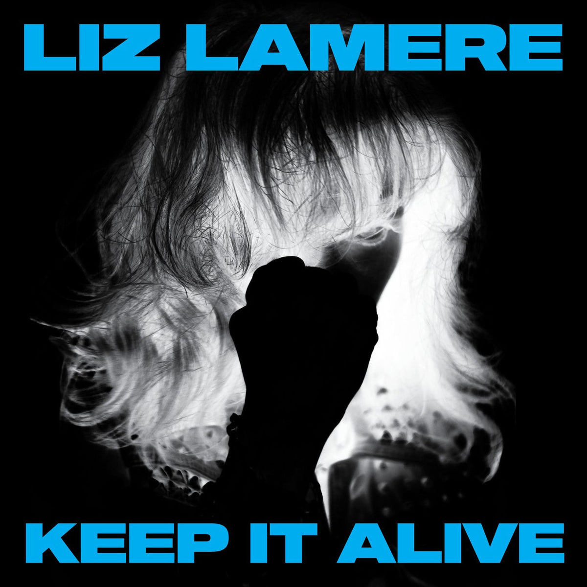 Liz Lamere – Keep It Alive vinyl record cover
