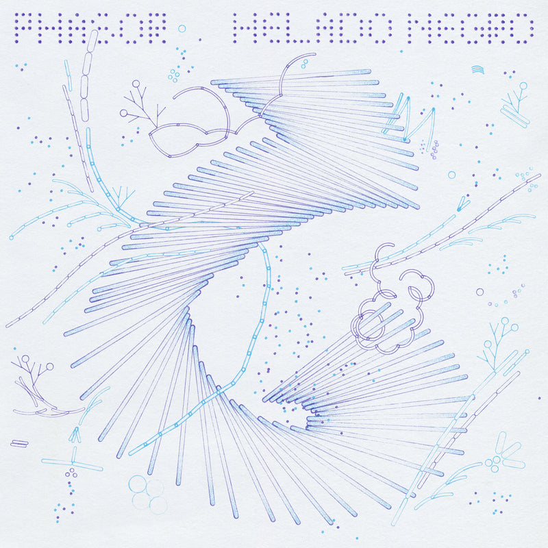 Helado Negro – Phasor (Coloured Vinyl) vinyl record cover