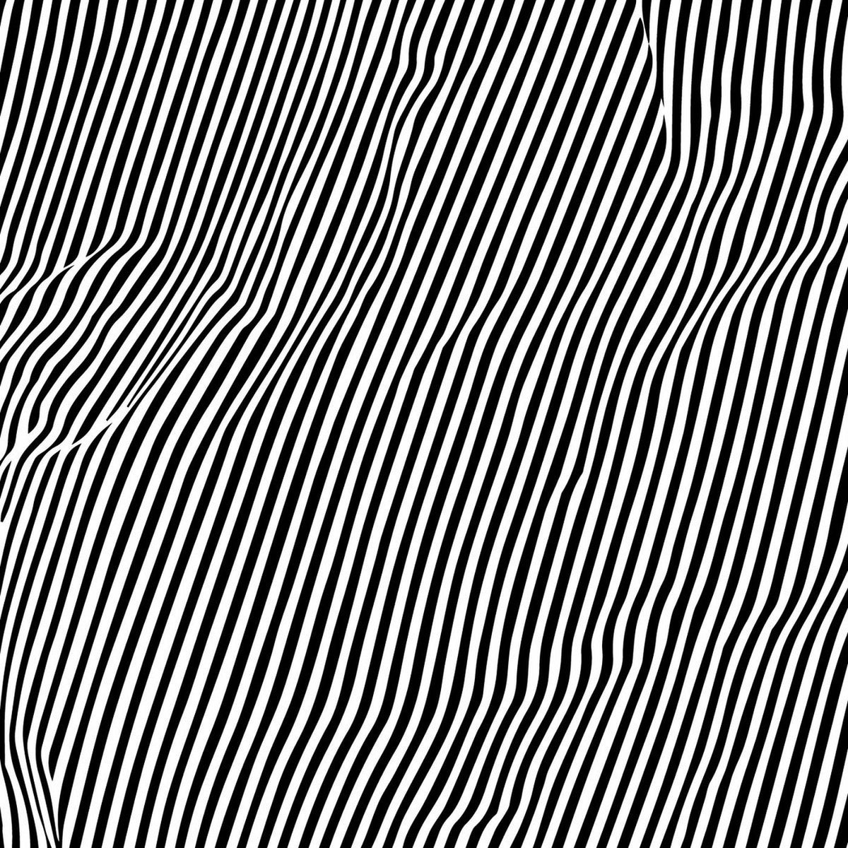 Animal Hospital – Fatigue vinyl cover