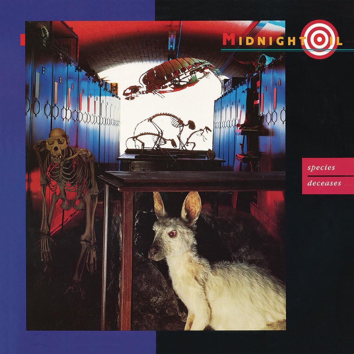 Midnight Oil – Species Deceases vinyl cover