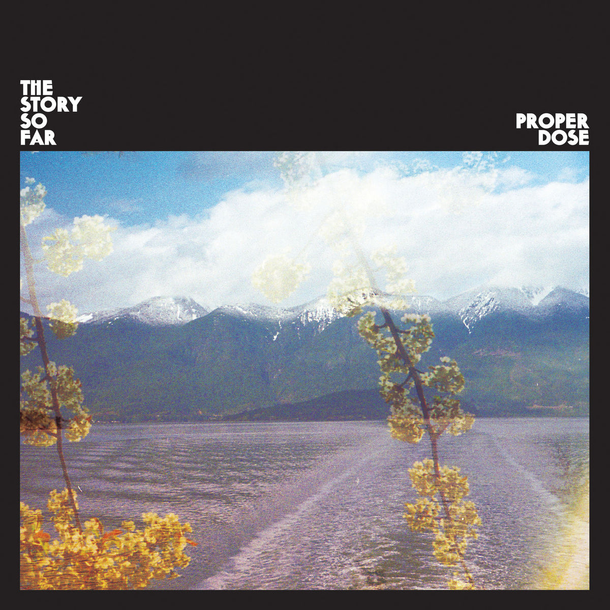 The Story So Far – Proper Dose vinyl record cover