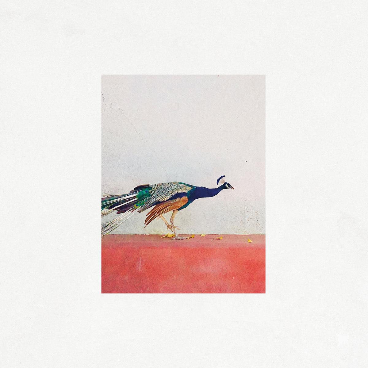 Jason Singh – Travellers vinyl cover
