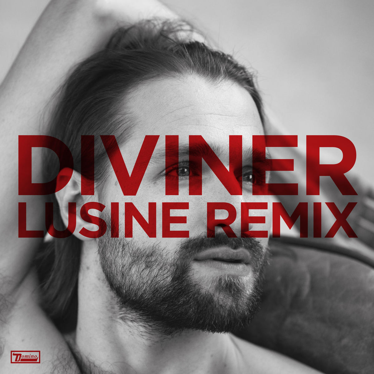 Hayden Thorpe – Diviner vinyl record cover
