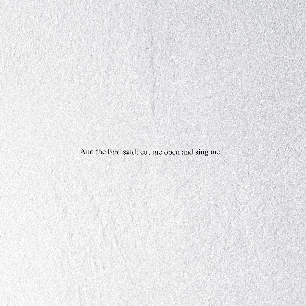 Prairie – And the Bird Said: Cut Me Open and Sing Me vinyl cover