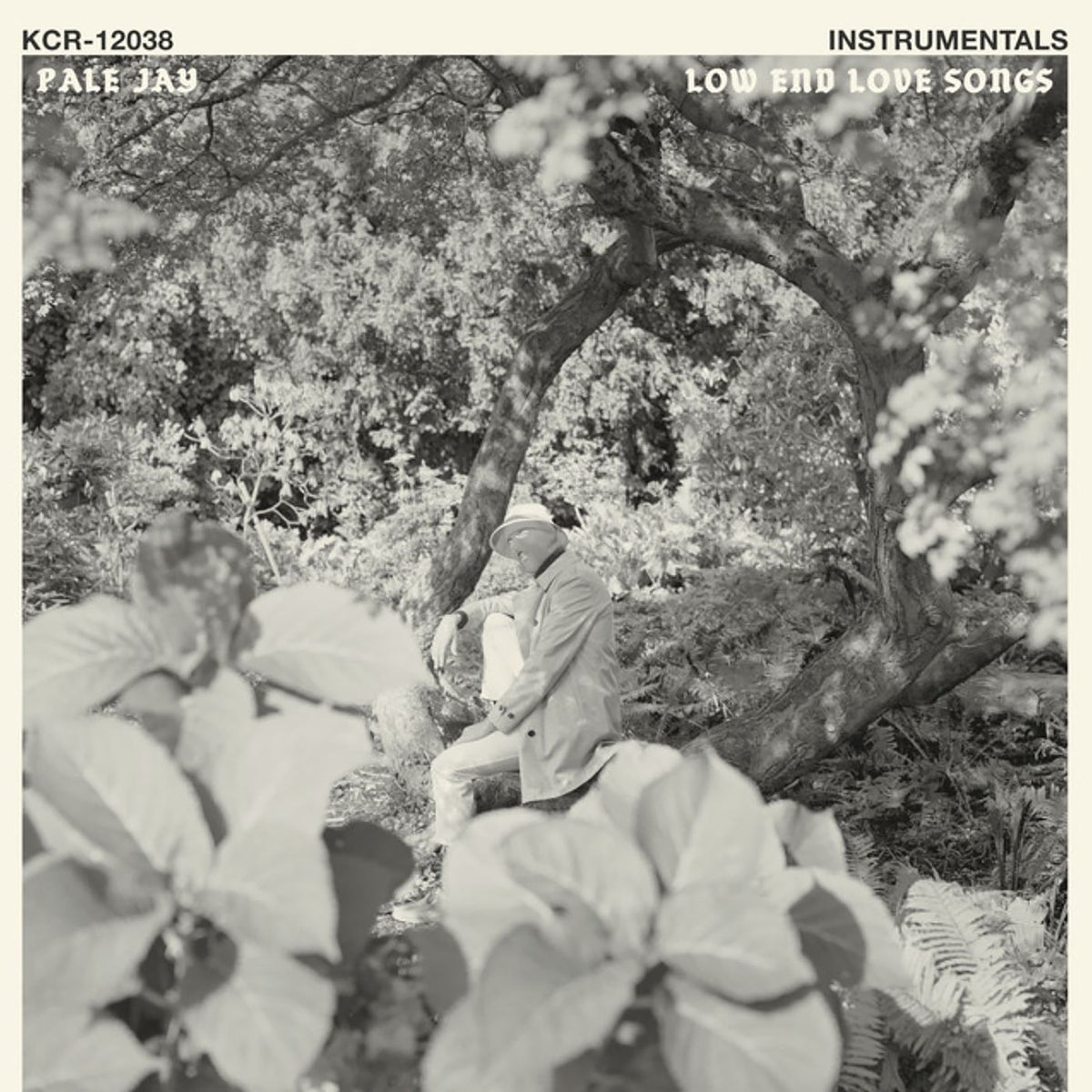 Pale Jay – Low End Love Songs (Instrumentals) vinyl cover