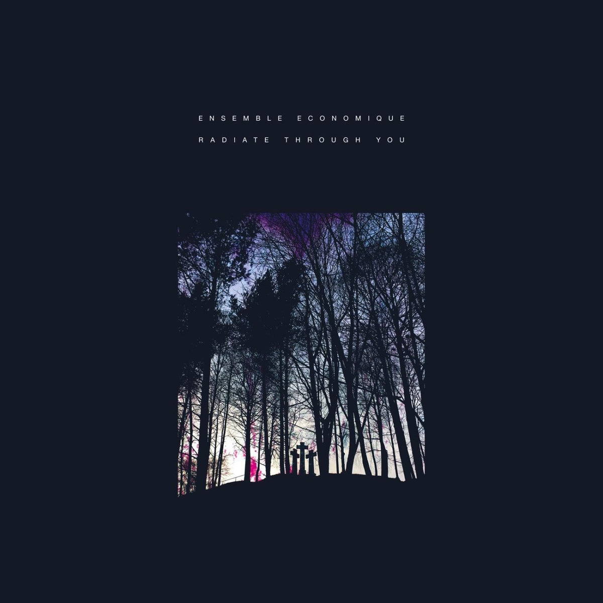 Ensemble Economique – Radiate Through You vinyl cover