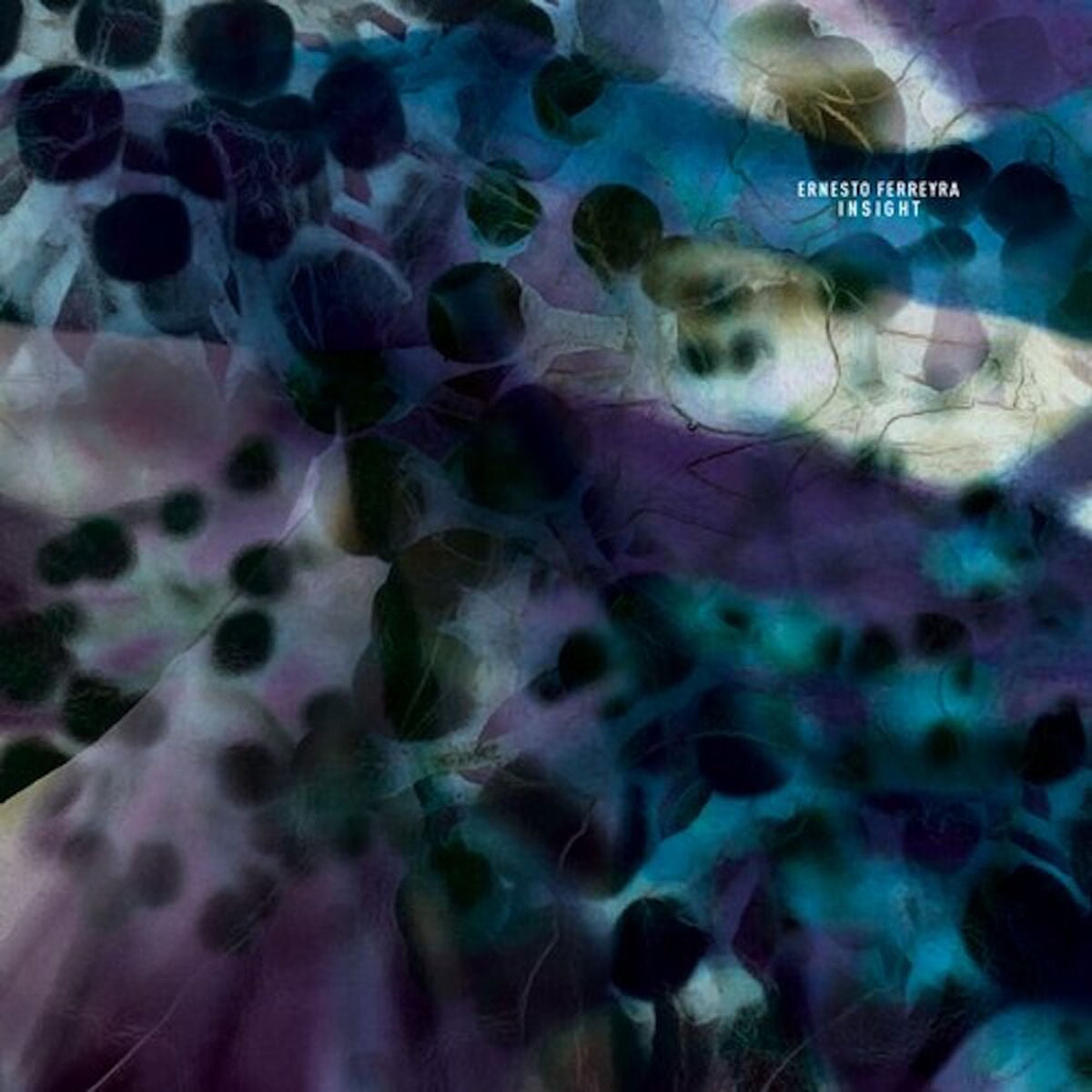 Ernesto Ferreyra – Insight vinyl cover