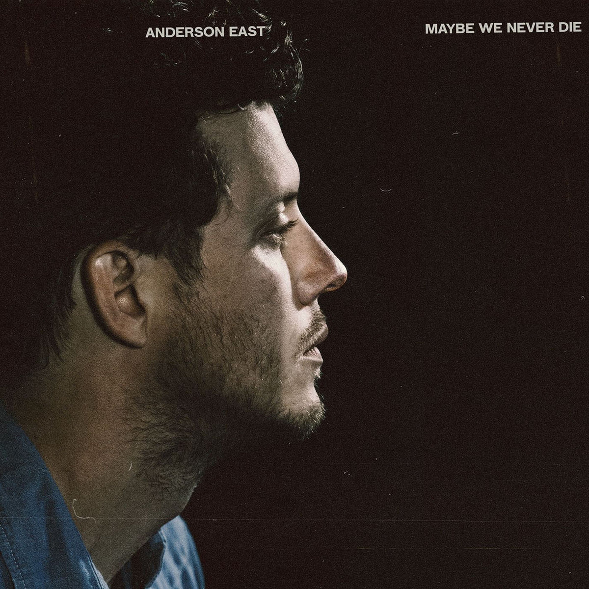 Anderson East – Maybe We Never Die (White Opaque Vinyl) vinyl record cover