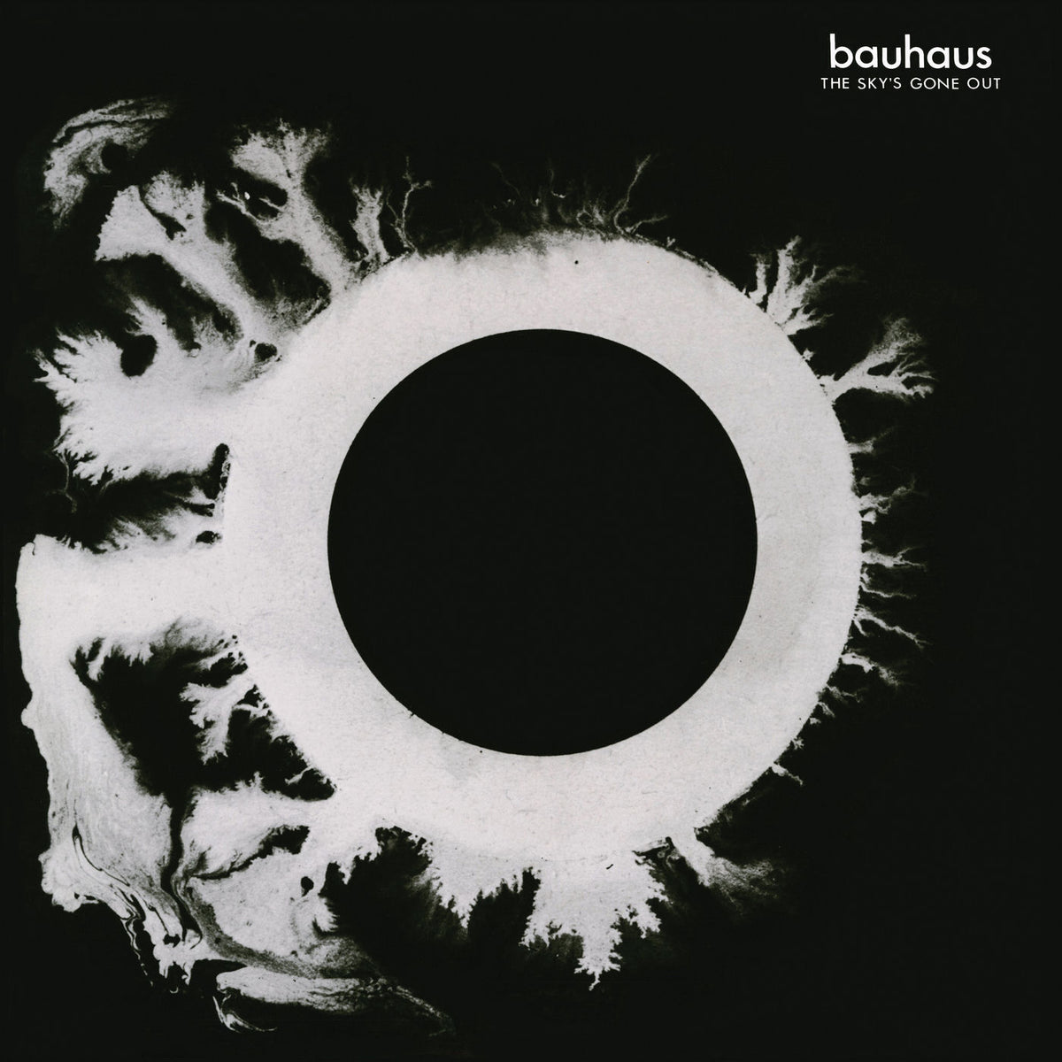Bauhaus – The Sky'S Gone Out vinyl record cover