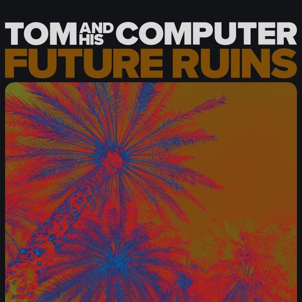Tom And His Computer – Future Ruins -Download- vinyl record cover