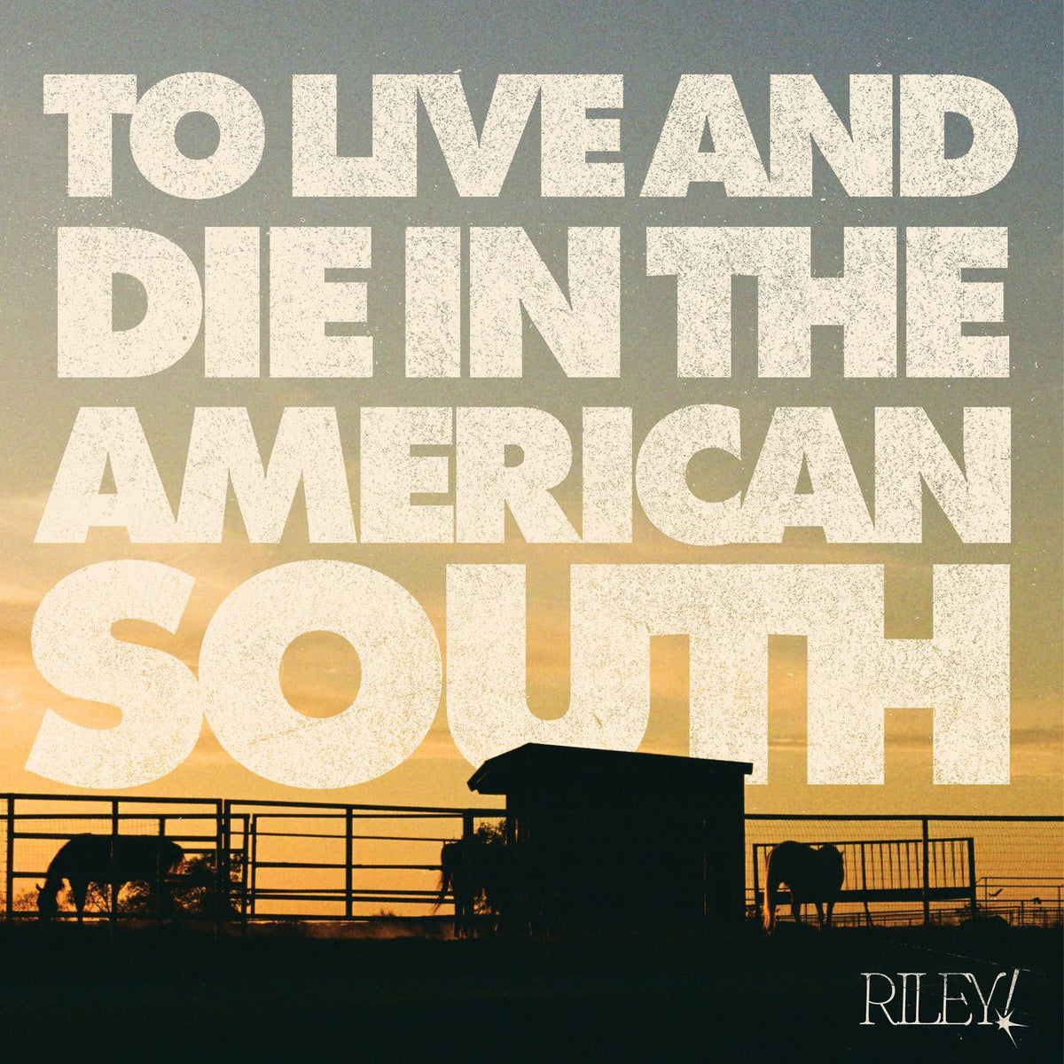Riley! – To Live and Die in the American South vinyl record cover