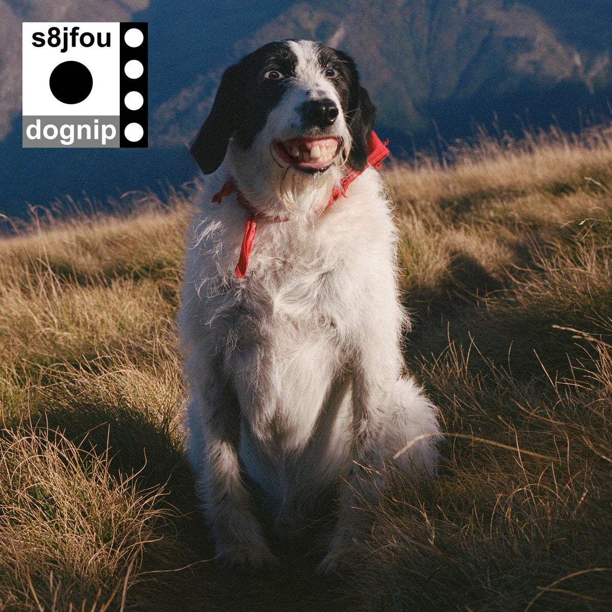 S8Jfou – Dognip vinyl record cover