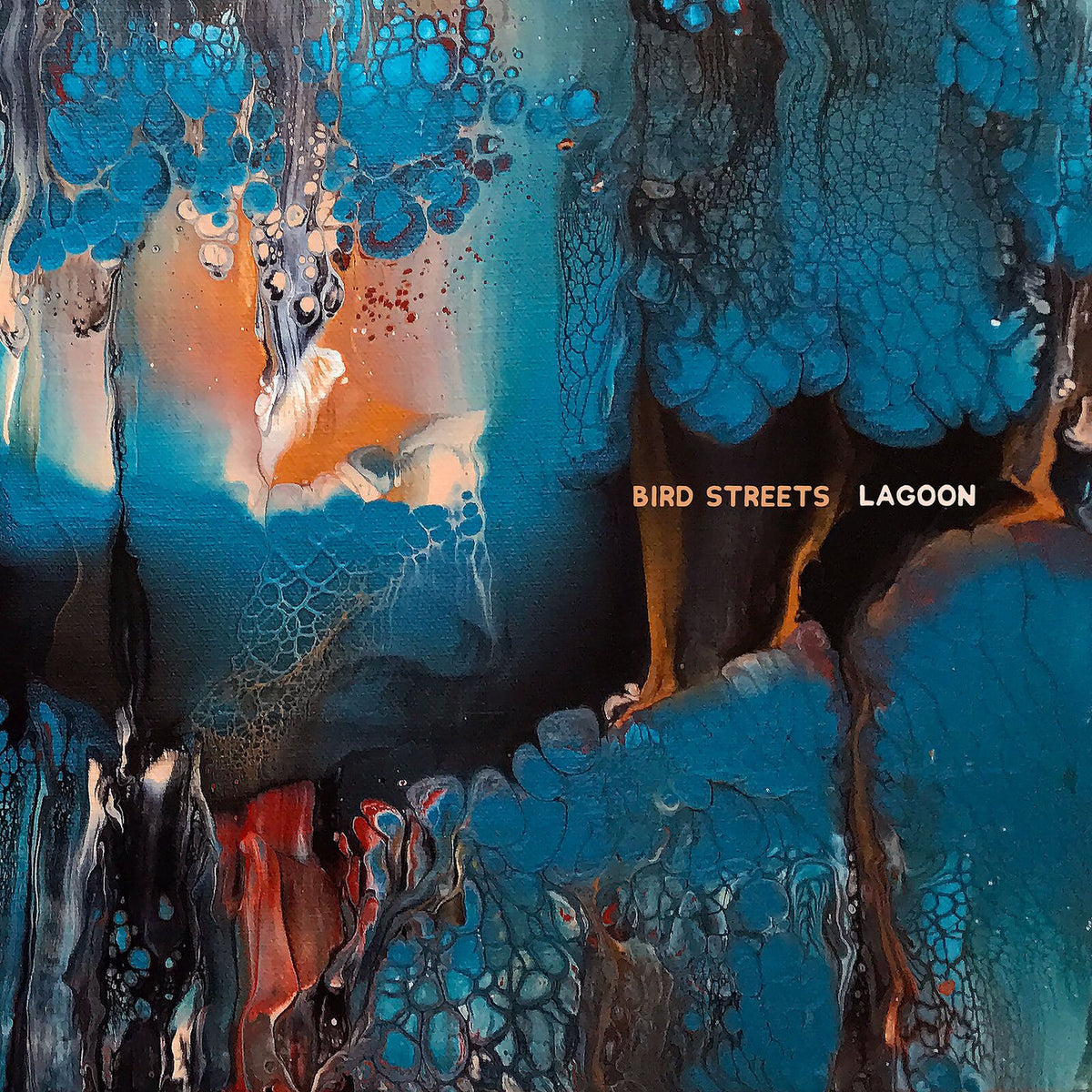 Bird Streets – Lagoon vinyl record cover