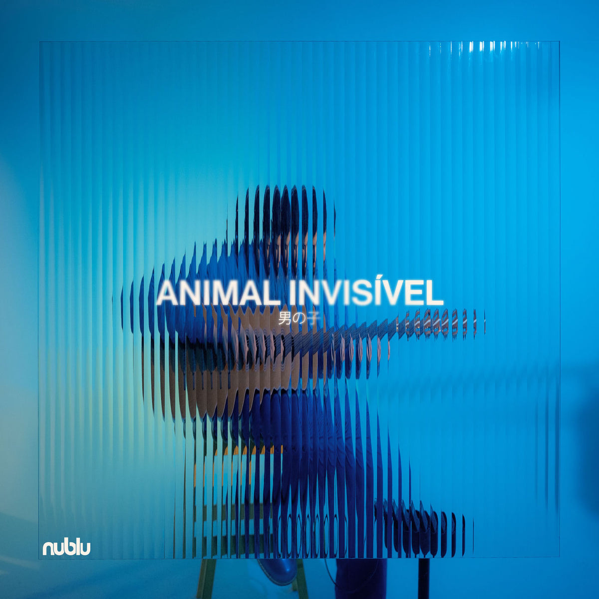 Animal Invisivel – Animal Invisivel vinyl record cover