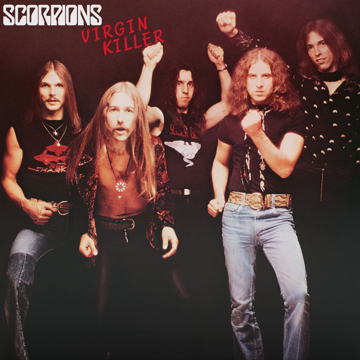 Scorpions – Virgin Killer vinyl record cover