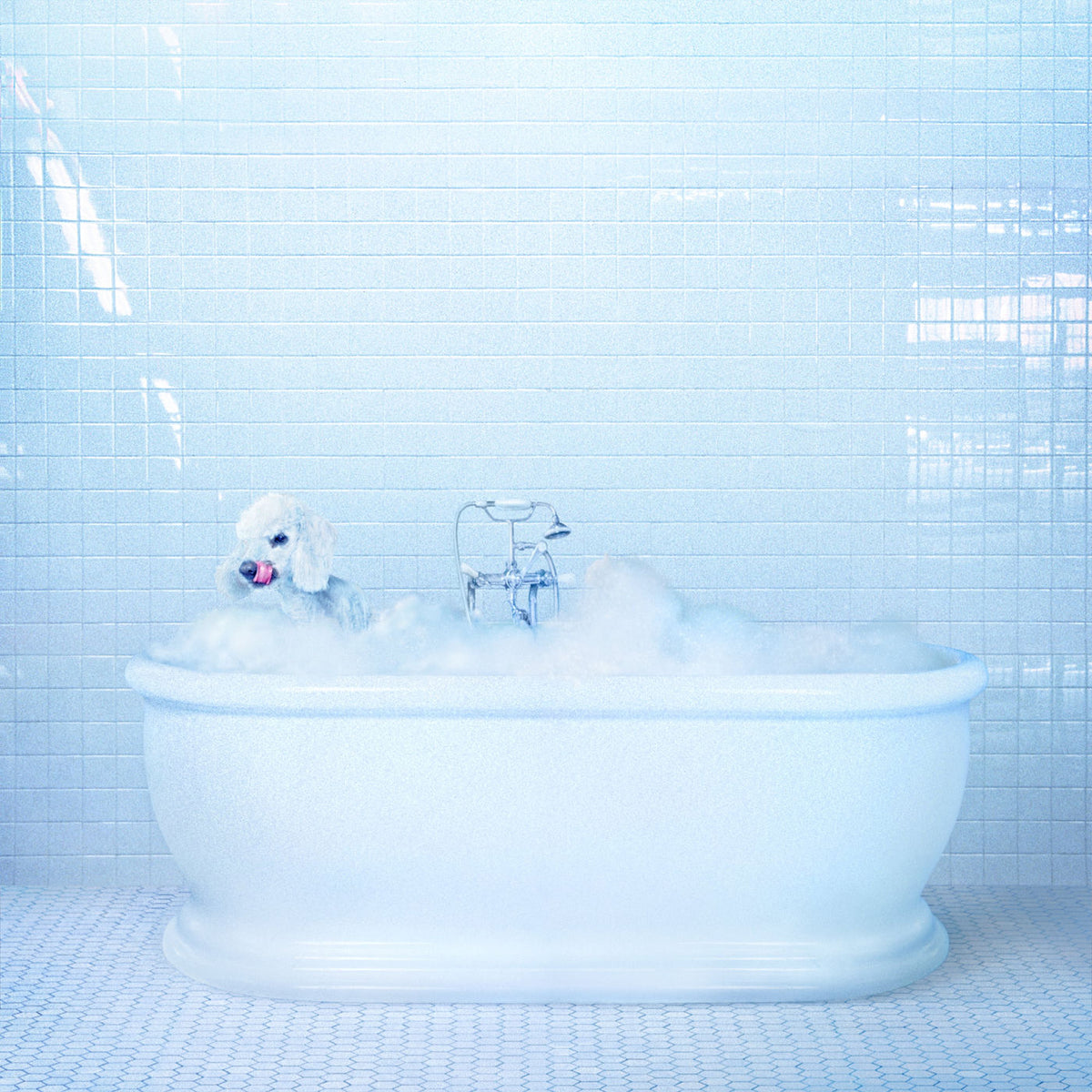 Frankie Cosmos – Vessel vinyl record cover
