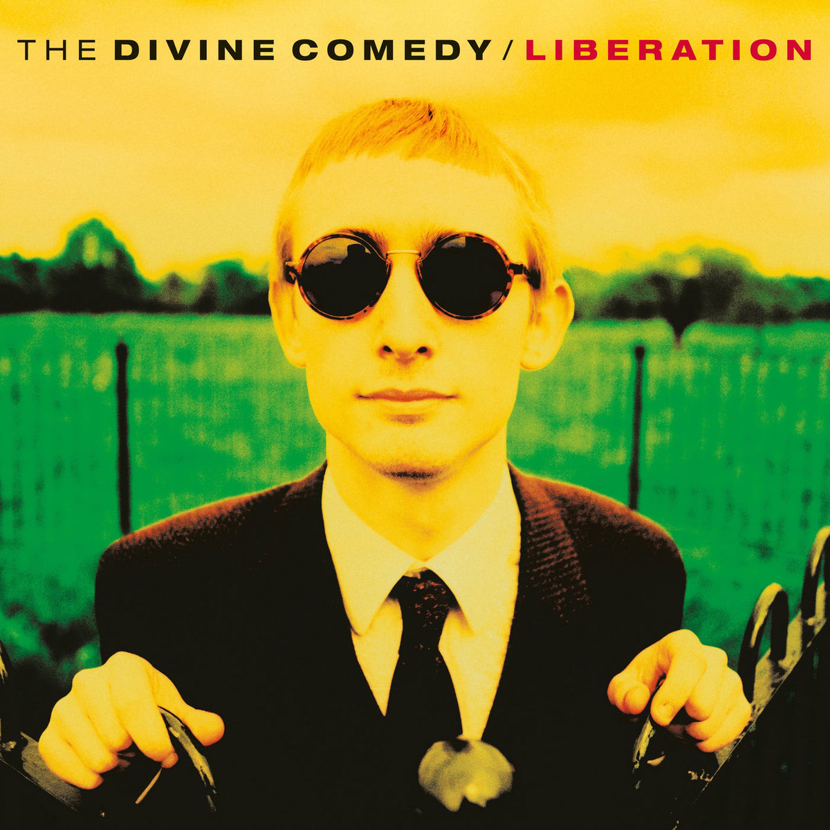 The Divine Comedy – Liberation vinyl record cover