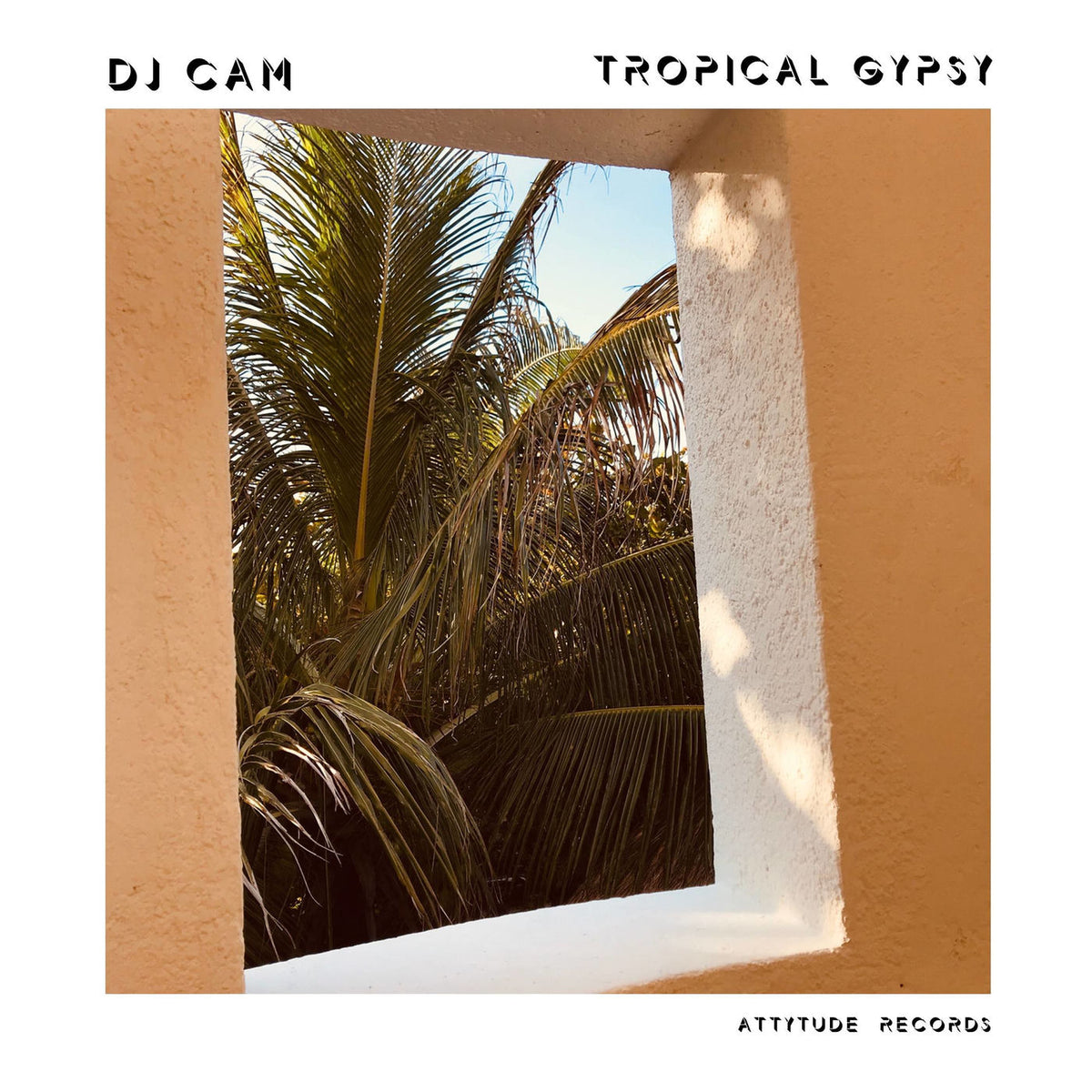 Dj Cam – Tropical Gypsy -Rsd- vinyl record cover