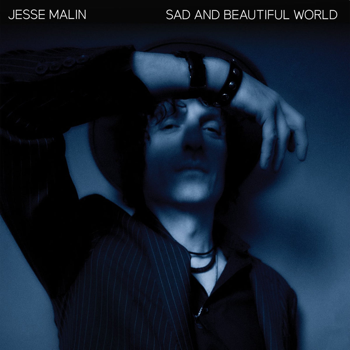 Jesse Malin – Sad and Beautiful World vinyl record cover