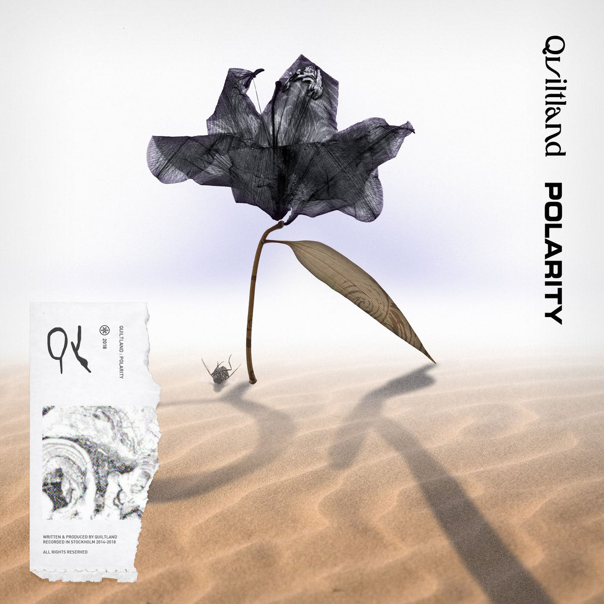 Quiltland – Polarity [12IN] (GRAY CLEAR VINYL) vinyl record cover