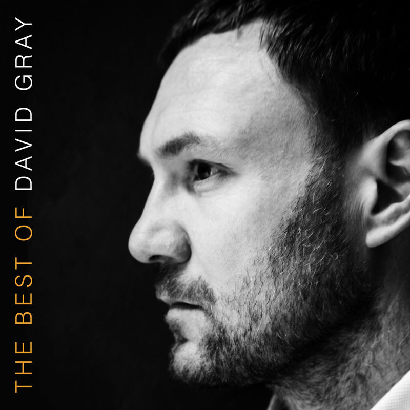 David Gray – The Best of David Gray vinyl record cover